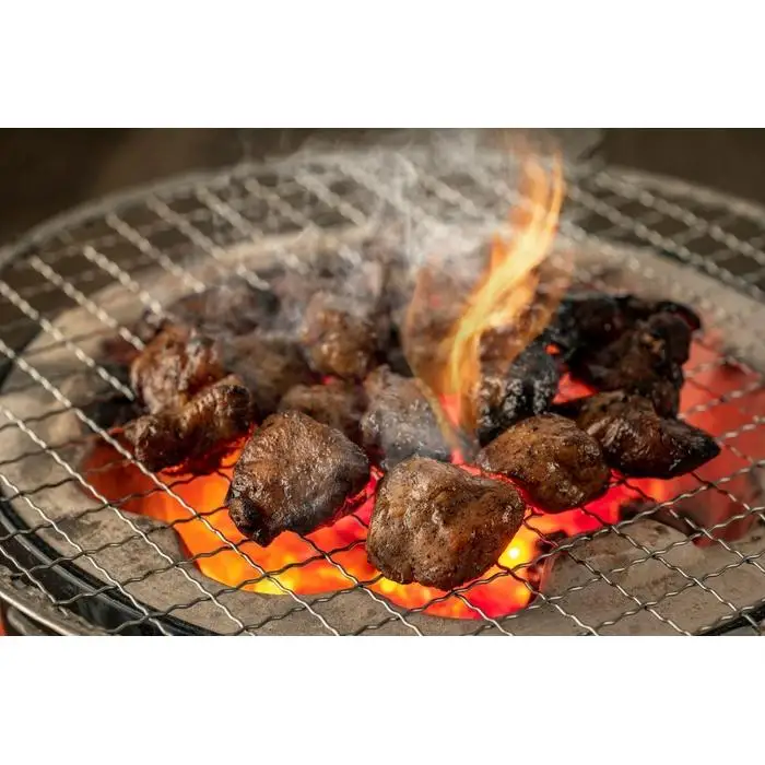 はかた地どり炭火焼セット500ｇ（100ｇ×5ｐ） | 食品 加工食品 人気 おすすめ 送料無料