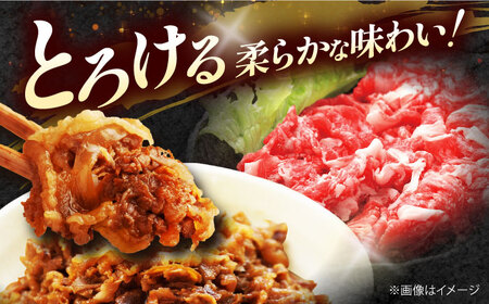 【全12回定期便】国産和牛切落し 500ｇ[AOAI052]切り落とし