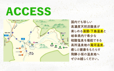 飛騨小坂の宿で使える宿泊券（15,000円分）旅行 宿泊 下呂市 小坂 宿泊補助券 温泉 湯屋温泉 下島温泉 濁河温泉【111-3】