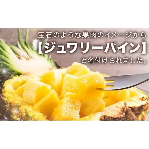 パイナップル 【先行予約】ジュワリーパイン1ｋｇ（1～2玉）　KN-1