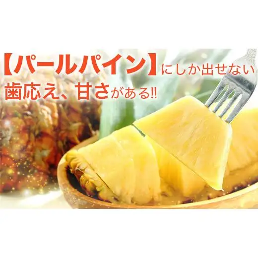パイナップル 【先行予約】パールパイン1ｋｇ（1～2玉）　KN-2