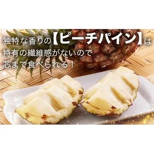 【先行予約】ピーチ＆ポコットパイン食べ比べ 1ｋｇ（計２玉）お勧め♪川平パイン《2026年5月～10月頃順次発送》KN-5