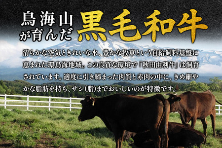 《定期便》5ヶ月連続 秋田由利牛 バラ切り落とし 2kg（500g×4パック）
