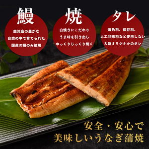 鹿児島県産 うなぎ蒲焼 じっくり焼きハーフカット約70g×4枚 化粧箱入り 大新 IB021-006 うなぎ うなぎ