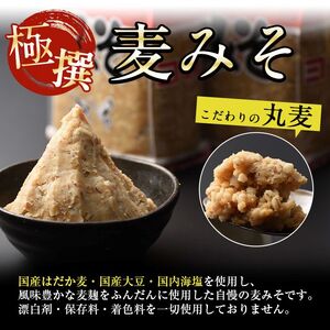 i426-f 【父の日ギフト】極撰麦みそセット(1kg×5個・計5kg) こだわりの原料を使用した味噌！ 味噌 みそ 麦みそ 保存料不使用 着色料不使用 味噌汁 みそ汁 安心安全 ギフト プレゼント 贈答 父の日 【奈良醸造元】