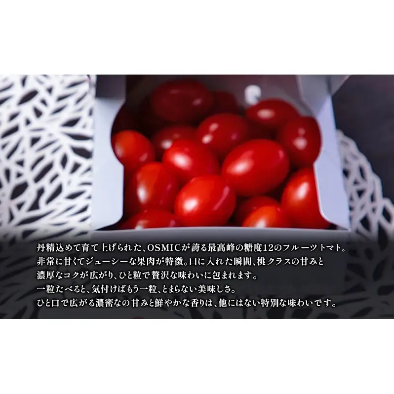 フルーツトマトQUEEN 500g(250g×2箱) トマト 国産 野菜 糖度12 濃厚 千葉市 千葉県