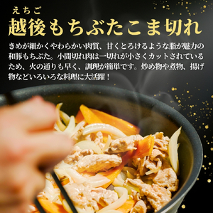 豚肉 越後もちぶた こま切れ肉 1.5kg(300g×5パック) | こま切れ肉 豚肉 新潟県 弥彦村