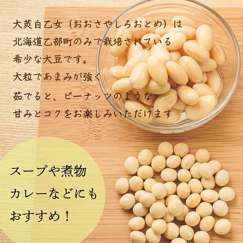 ＜おとめ味噌 2個＞手作り味噌 無添加 乙部町地大豆 大莢白乙女使用 国産 安心 国産大豆
