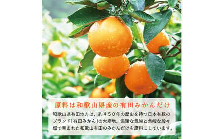 【早和果樹園】【定期便】飲むみかん20本×12ヶ月お届け（B475-3）