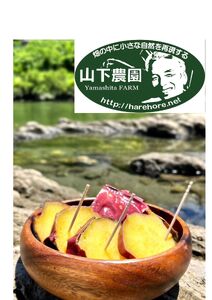 冷やし蜜焼き芋「寛芋（かんう）」1㎏（500ℊ×2P）