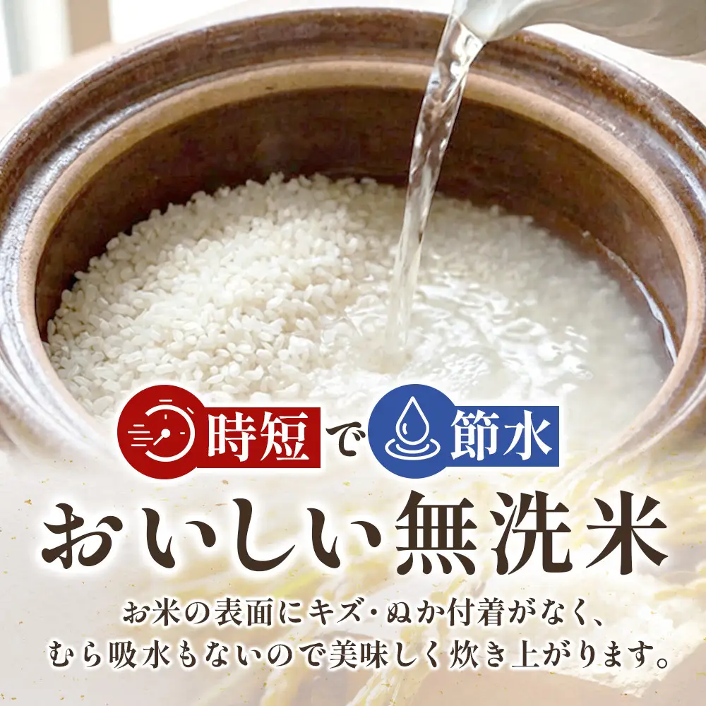 【3回定期便】宮城県産 ひとめぼれ【無洗米】　5kg×1袋 ｜ ひとめぼれ