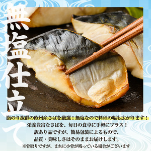 ＜生活応援！塩サバフィーレ付き＞＜訳あり＞骨取り無塩 さば切身(42切れ) 小分け 魚 冷凍  【AW-51】【丸正水産】