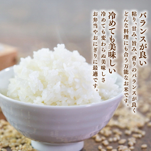 【スピード発送】 ひとめぼれ 10kg 精米 ＼ お米 ／