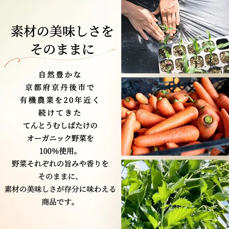 季節のオーガニック野菜ドレッシングとおかず味噌2種セット 京丹後 ふるさと納税 ドレッシング 野菜 サラダ 調味料 おかず ご飯のお供 オーガニック セット ギフト 贈り物 お土産 プレゼント