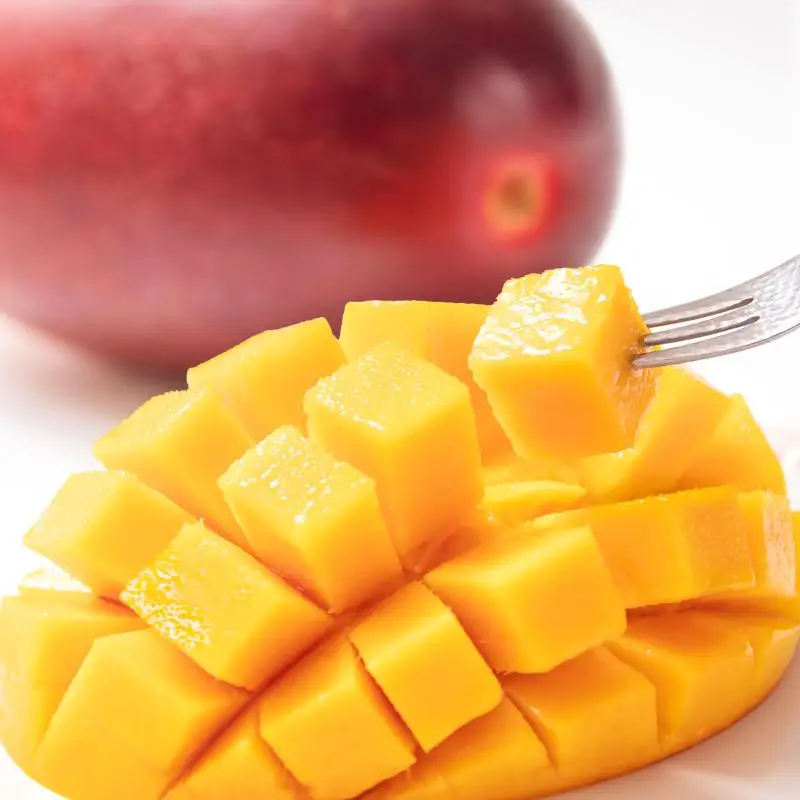 【マンゴー専門 山下果樹園】完熟マンゴー 2玉 合計900g以上 宮崎県西都産 生産者直送【先行予約】＜61-2a＞