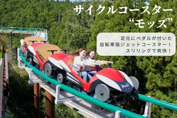 関西サイクルスポーツセンター入場+フリーパスチケット+BBQ(大人)|自転車 テーマパーク アトラクション サイクリング BBQ バーベキュー 春休み 夏休み プール 乗り物 迷路 自然 河内長野