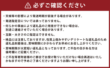 【地元民が愛する幻のすいか】長浦すいか（M玉以上 ／ 5-6kg） 【2026年6月上旬～6月下旬迄発送予定】 ／ 長浦スイカ すいか スイカ 西瓜 果物 フルーツ 季節の果物 長崎県産 長崎市産 長崎県 長崎市 常温