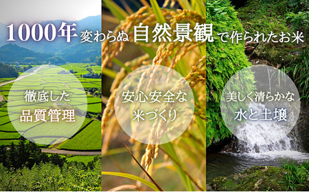 荘園米 10kg （精米済）ヒノヒカリ | 豊後高田市