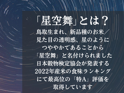 鳥取県産星空舞パックごはん（180g×3個）×4パック 計12食分 もっちりごはん レトルト 1100