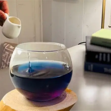 〈2個〉藍茶専門店「こはる日和」Awaodoriあわおどり_飲料・ドリンク 茶葉・ティーバッグ 茶 _【1575114】