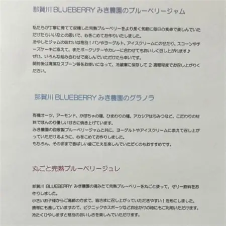 みき農園のとびきり!ブルーベリーパフェ体験セット_惣菜・加工品   _【1588061】