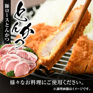 isa661 小分け・真空パック！九州産豚肉3種セット(合計3.1kg) バラスライス ロース とんかつ 生姜焼き 真空包装 真空パック 小分け ぶたにく 豚 肉 詰合せ 詰め合わせ 食べ比べ 冷凍 【サンキョーミート株式会社】