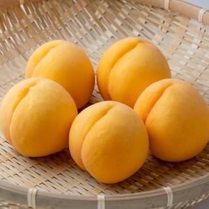 2026年  ご家庭用　岡山県産　黄金 桃 1.5kg（5～6玉） ｜ 桃