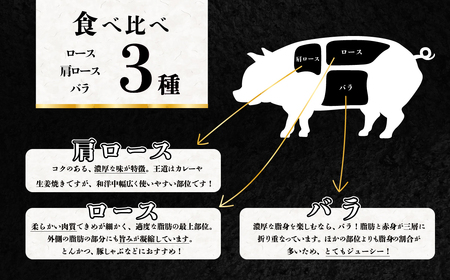 飯塚畜産 自社 ブランド豚 3部位 食べ比べ 計 1kg ( ロース310g / 肩ロース 330g / バラ 360g ) 焼肉用 5mm
