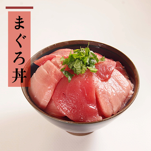 天然本マグロ セット 1kg(100g×10P） まぐろ ネギトロ