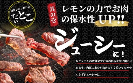 【瀬戸内レモン塩だれ】牛ハラミ 600g(300g×2パック) 尾野精肉店の牛ハラミ【肉 訳あり 小分け 真空パック 冷凍 牛肉 ハラミ 味付き 焼肉 BBQ 広島県 竹原市】