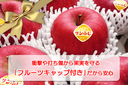 高橋りんご園　『サンふじ』3kg(8～10玉)　フルーツキャップ付き　贈答用にもオススメ！/さんふじ サンフジ サンふじ 送料無料 矢巾町産 りんご 予約 蜜 しゃきしゃき シャキシャキ 甘い 酸味 贈答 ギフト プレゼント リンゴ 林檎 果物 くだもの フルーツ 岩手県 矢巾町