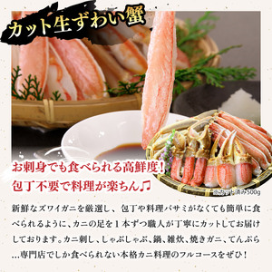 敦賀の豪華 海鮮福袋 10種 [024-e301]