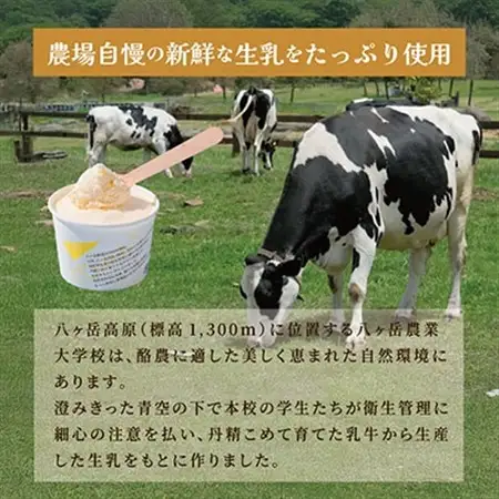 八ヶ岳農場 復刻版バニラアイス 12個_菓子・スイーツ アイス・ジェラート  _【配送不可地域：離島】【1600446】