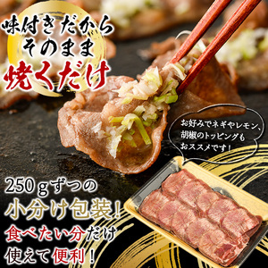 薄切り 塩味 牛タン (計200g) 小分け 牛肉 肉 タン 牛たん 味付け 焼肉 塩 BBQ 冷凍 大分県 佐伯市 【DH281】【(株)ネクサ】