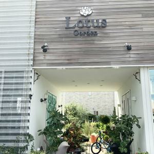 SL0306　【母の日2026】「感謝のカーネーションとおすすめのお花のアレンジ」