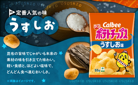 カルビー ポテトチップス【うすしお】16袋 K194-002_03 菓子