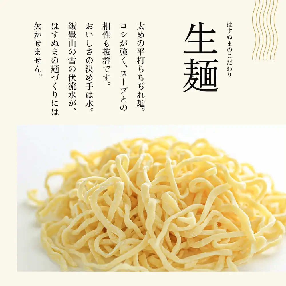 喜多方ラーメン 元祖生らーめん 味噌10食 ラーメン らーめん みそ ギフト 人気 お土産 生麺 食べ比べ グルメ【07208-0621】