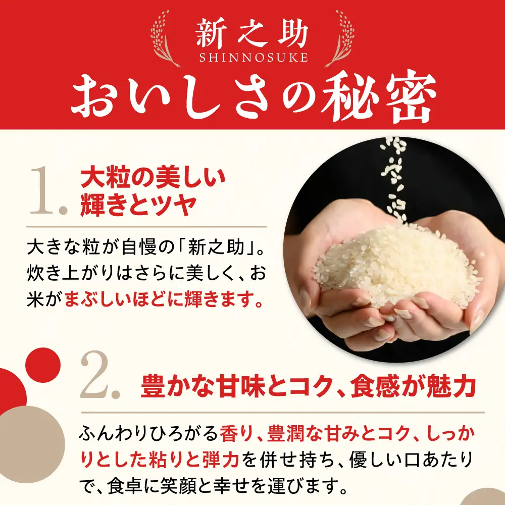 【定期便】【2026年7月上旬より発送】新潟県上越・妙高産新之助5kg×2回（計10kg）