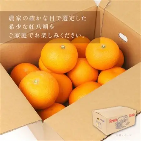 先行予約!紅はっさく 約5kg/12～18個入り(L～2Lサイズ)こだわり農家厳選!【1596975】