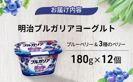 ヨーグルト 明治ブルガリアヨーグルト脂肪0 ジューシー果実 ブルーベリー&3種のベリー（180g×12個） 乳製品 乳酸菌 脂肪0 果汁 果肉 ブルーベリー ベリー 食べ切り 茅ヶ崎市 神奈川県