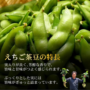 先行予約 枝豆 えちご茶豆 1kg えだまめ 枝豆 枝豆 枝豆 枝豆 枝豆 genzou001