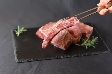 宮崎県産黒毛和牛ヒレステーキ4枚 約600g(約150g×4) 経産牛 スパイス付き 黒毛和牛 ステーキ 国産 ヒレ フィレ 希少部位