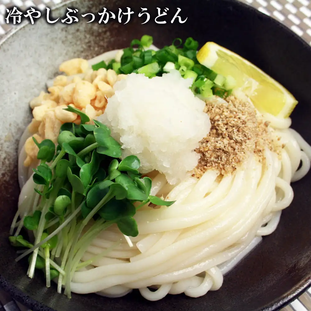ふっくらモチモチ神埼生うどん 10袋入(H014145)