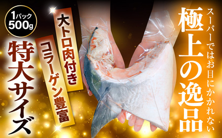 天然 ぶり 特大 ブリカマ (塩焼き用) 約1kg (約500g × 2パック) 美浜町日向産【 ブリカマ 】[m36-a035]