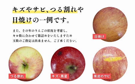【レビューキャンペーン】【5月～6月発送】家庭用有袋ふじ5kg【丸勝木村商店・青森りんご】[hi-0055-005]