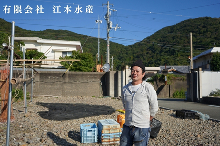 漁師たつ兄のタコの沖漬け２本
