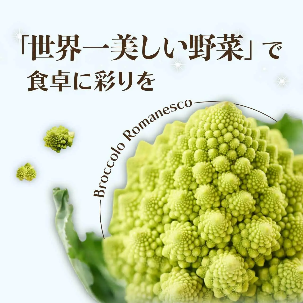 冷凍カットロマネスコカリフラワー 400g×4袋（1.6kg）