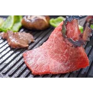 【A4～A5】博多和牛焼肉用1kg（500g×2p）【014-0043】