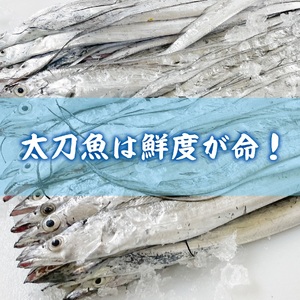 ☆冷蔵お届け☆地元の味をご自宅で！　太刀魚浜焼180ｇ×3パック（B992-1）