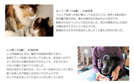 ペット用 鹿肉 ジビエ 2kgセット（250g×8）｜高タンパク低脂肪 犬・猫用 A-JK-A11A